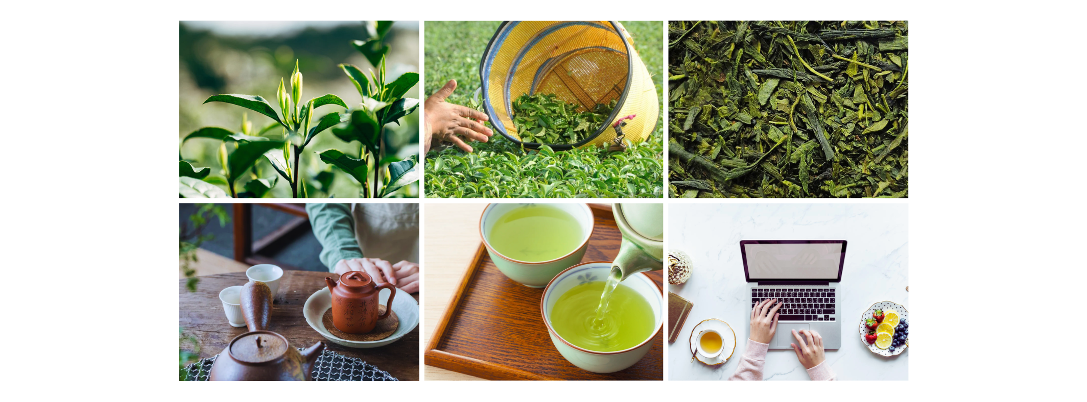 A Spring Reset: My Favourite Teas to Welcome the Season – Totally Loose ...