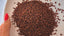 My Comfort Go-To: Why I’m in Love with Buckwheat Tea
