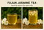 Fujian Jasmine