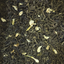 Fujian Jasmine