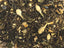 Lychee Jasmine Green Tea