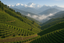 Himalayas tea estate, no people just the scenery, it has to be factual and realistic