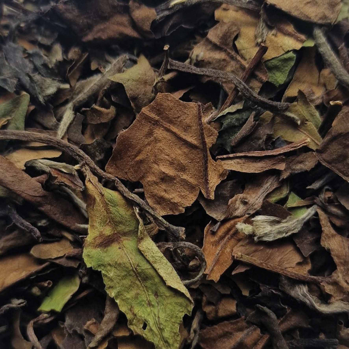 Sowmee White Loose Leaf Tea - tea leaves