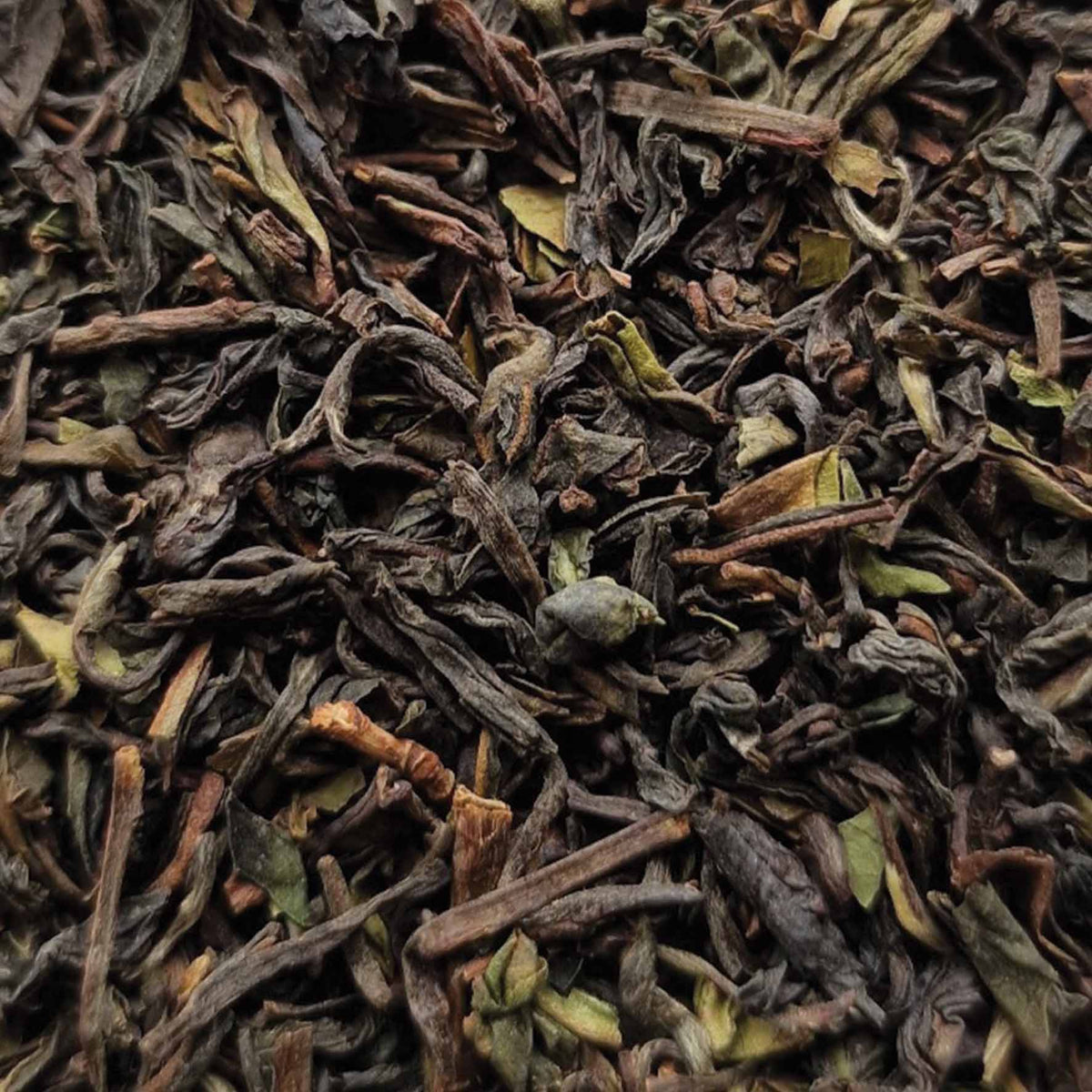 Premium Darjeeling Black Estate Loose Leaf Tea - tea leaves