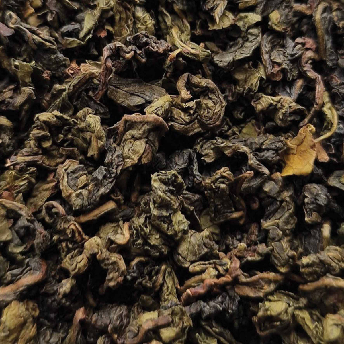 Ti Kuan Yin Oolong Loose Leaf Tea - tea leaves