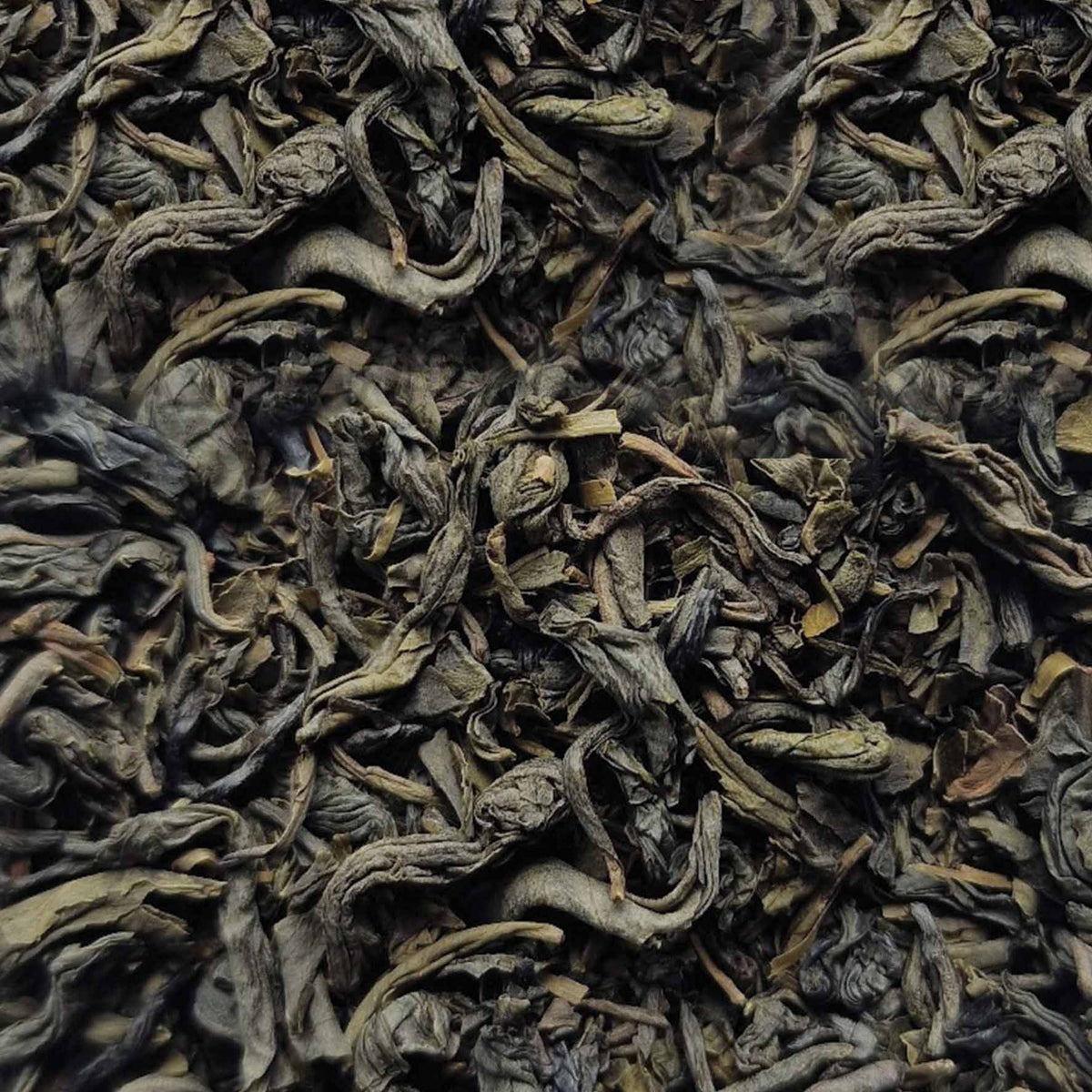 Organic Jasmine Gold Dragon Green Loose Leaf Tea - tea leaves
